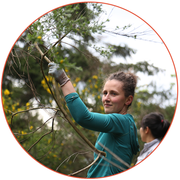 Sandra Dumitras Habitat Restoration