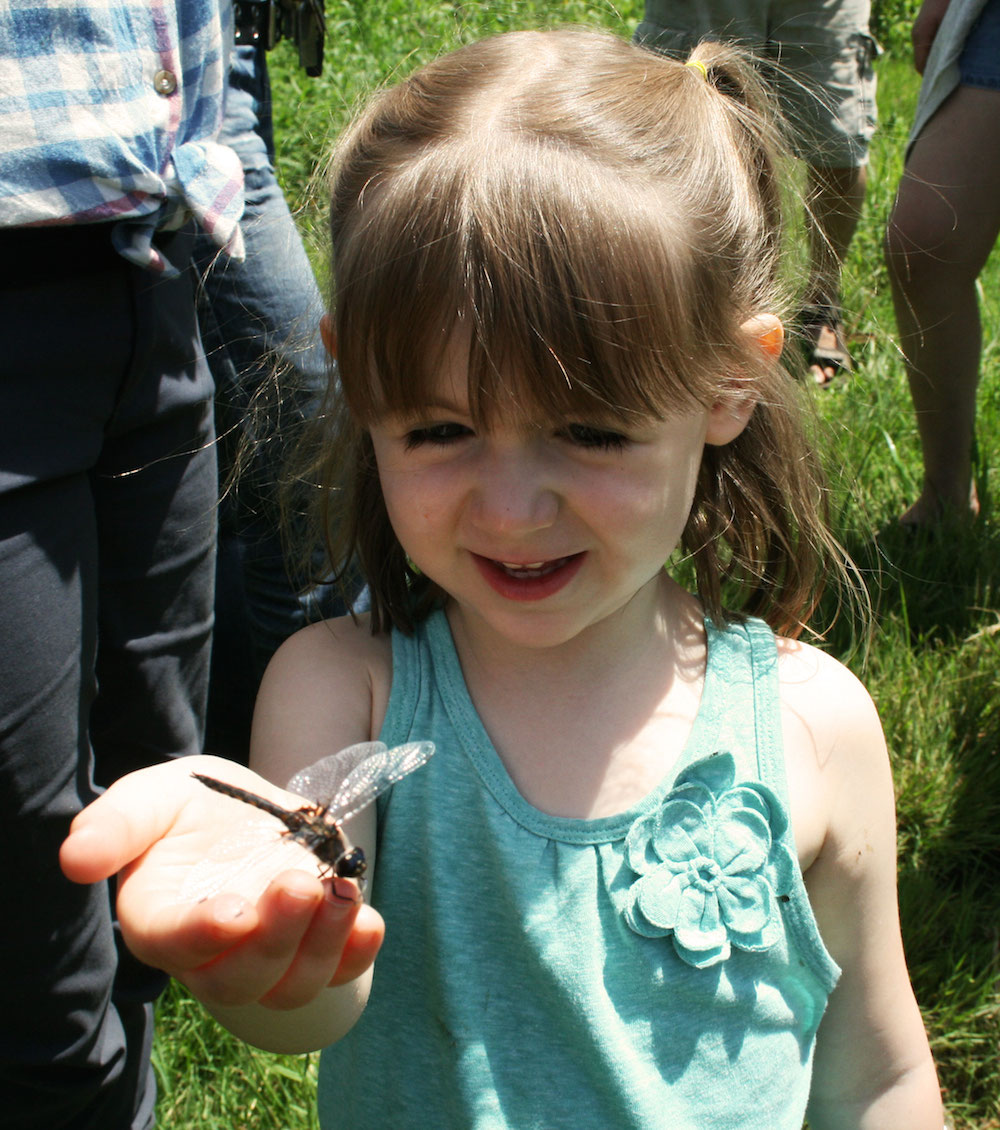 Child Laughs While Holding Dragonfly