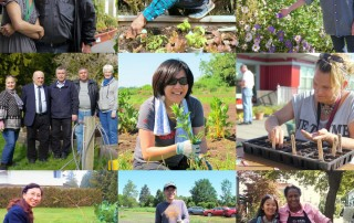Garden Network Mosaic