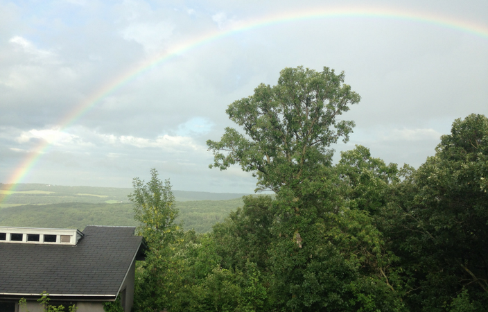 Untitled design(6) Rainbow