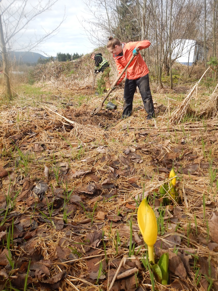 Hope Farm Restoration – by Jesse Wildeman02 copy Habitat Restoration