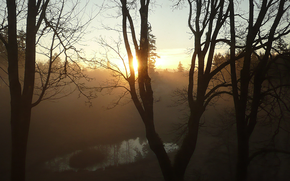 Post—feature-image-Easter-Hope-Sunset Sun Rise Through Trees