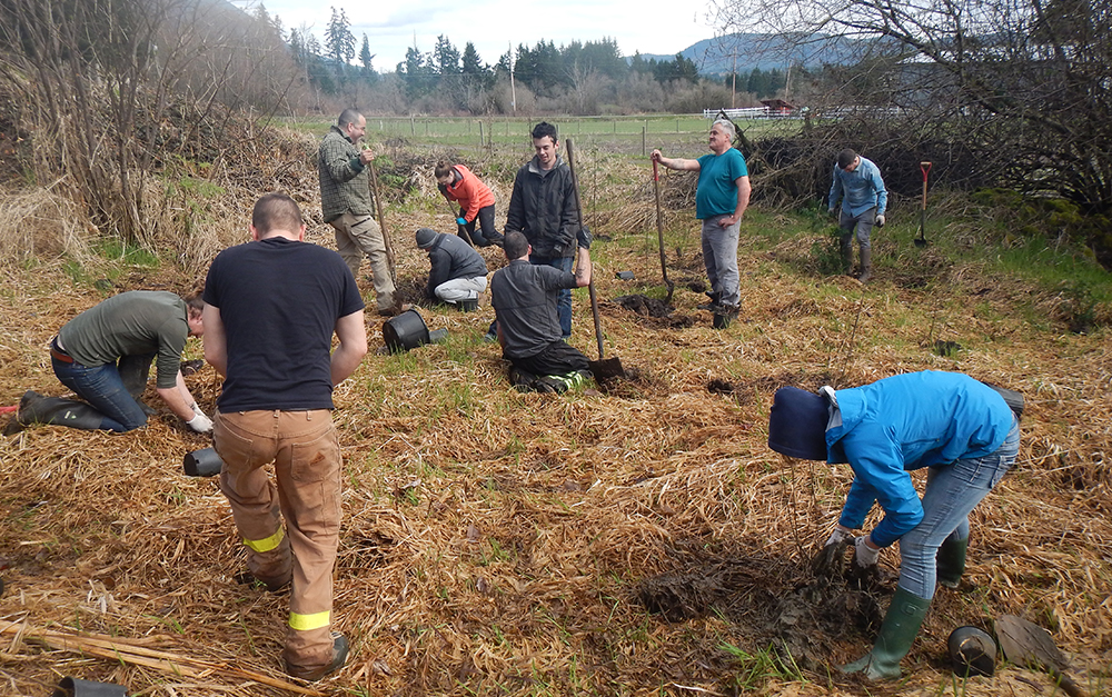 Volunteer Group Working on Habitat Restoration