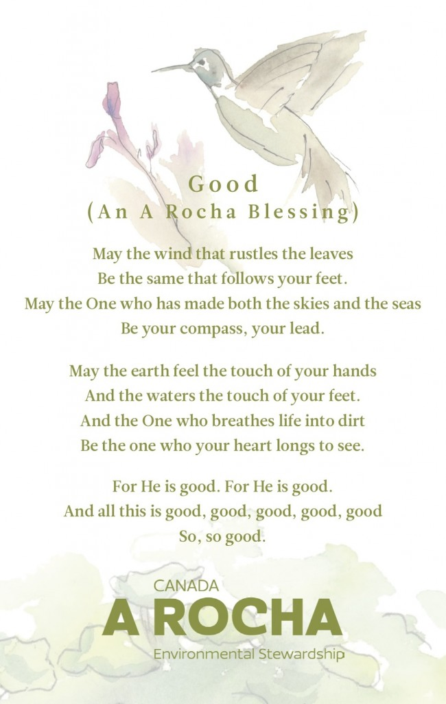 Good (An A Rocha Blessing) Lyrics