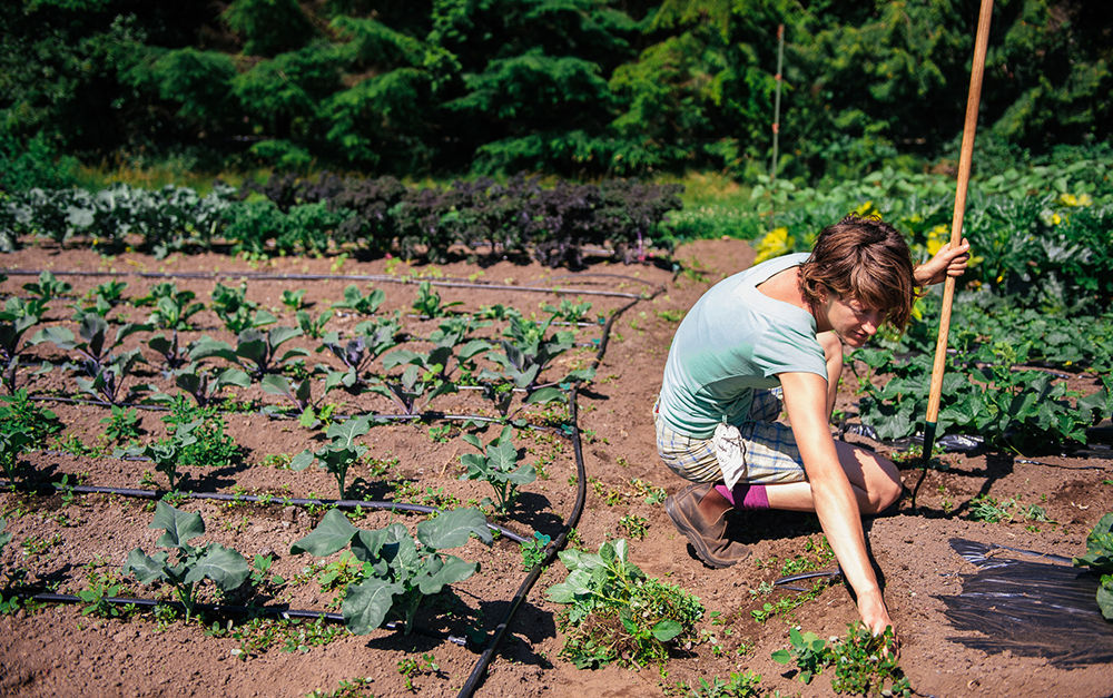 Farmer Lindsay Weeding