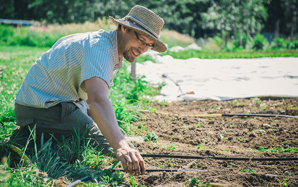Paul Neufeld Adjusting Drip Irrigation