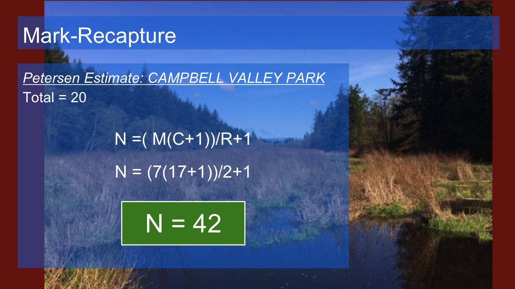 Mark Recapture Estimate - Campbell Valley Park