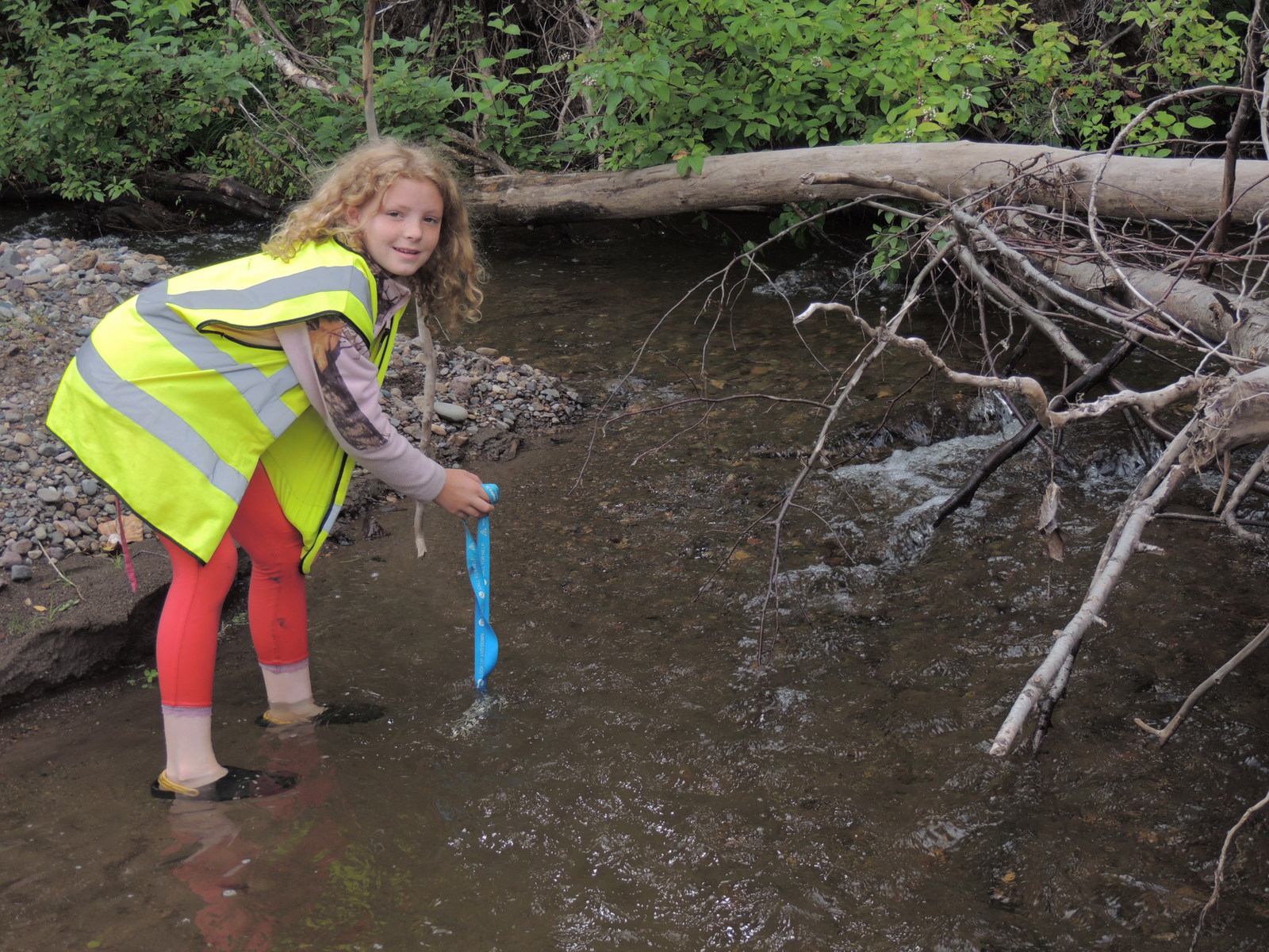 Spawner Survey Volunteer in River