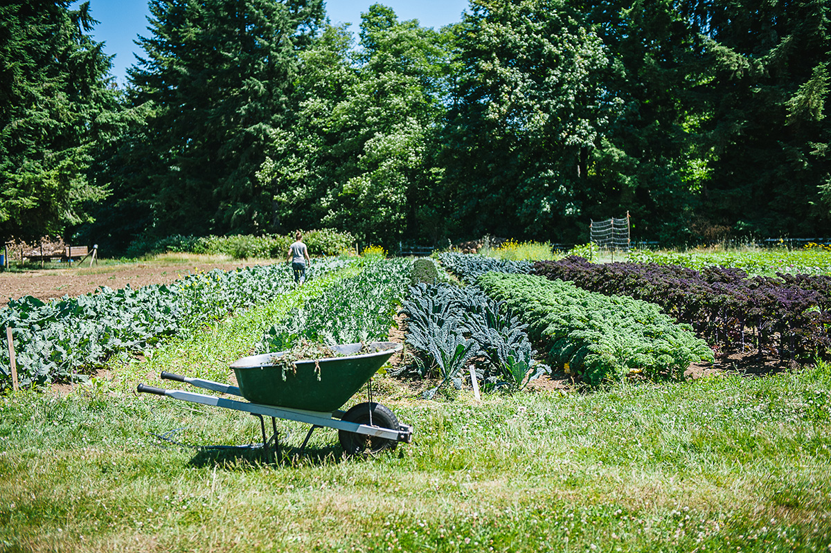 Farm at Brooksdale Surrey