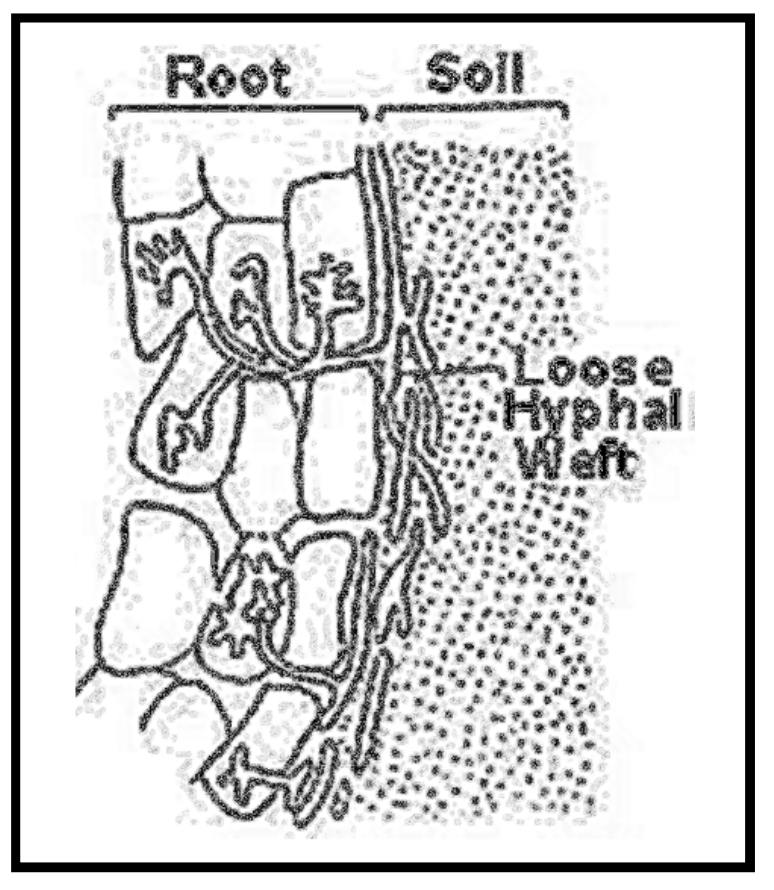 Screen Shot 2017-08-23 at 4.51.26 PM