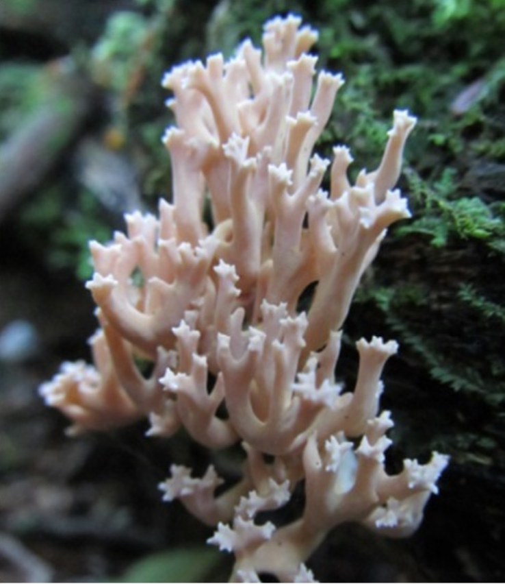 Screen Shot 2017-08-23 at 5.01.09 PM