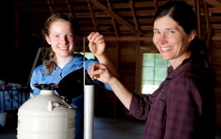 Barn Swallow Diet Monitoring