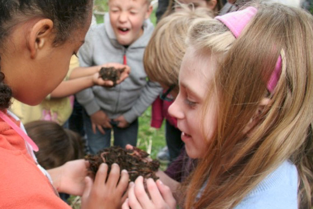 Kids discovering creation with A Rocha