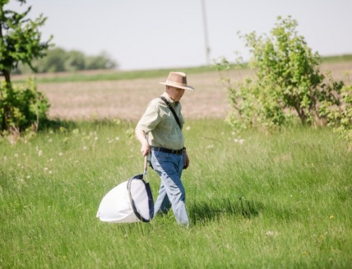 Celebrating Biodiversity in the Pembina Valley