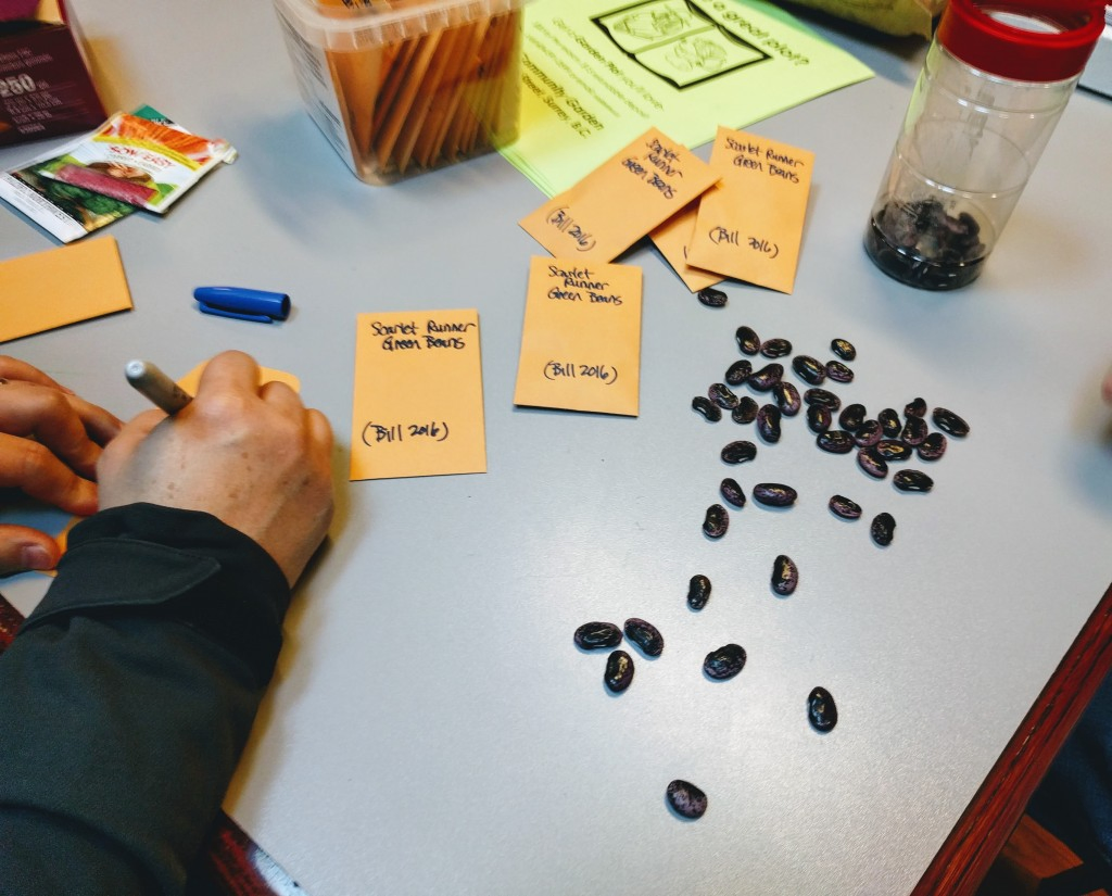 Sharing seeds CGN Seed Swap 2017 Sharing Seeds at our Garden Network Seed Swap