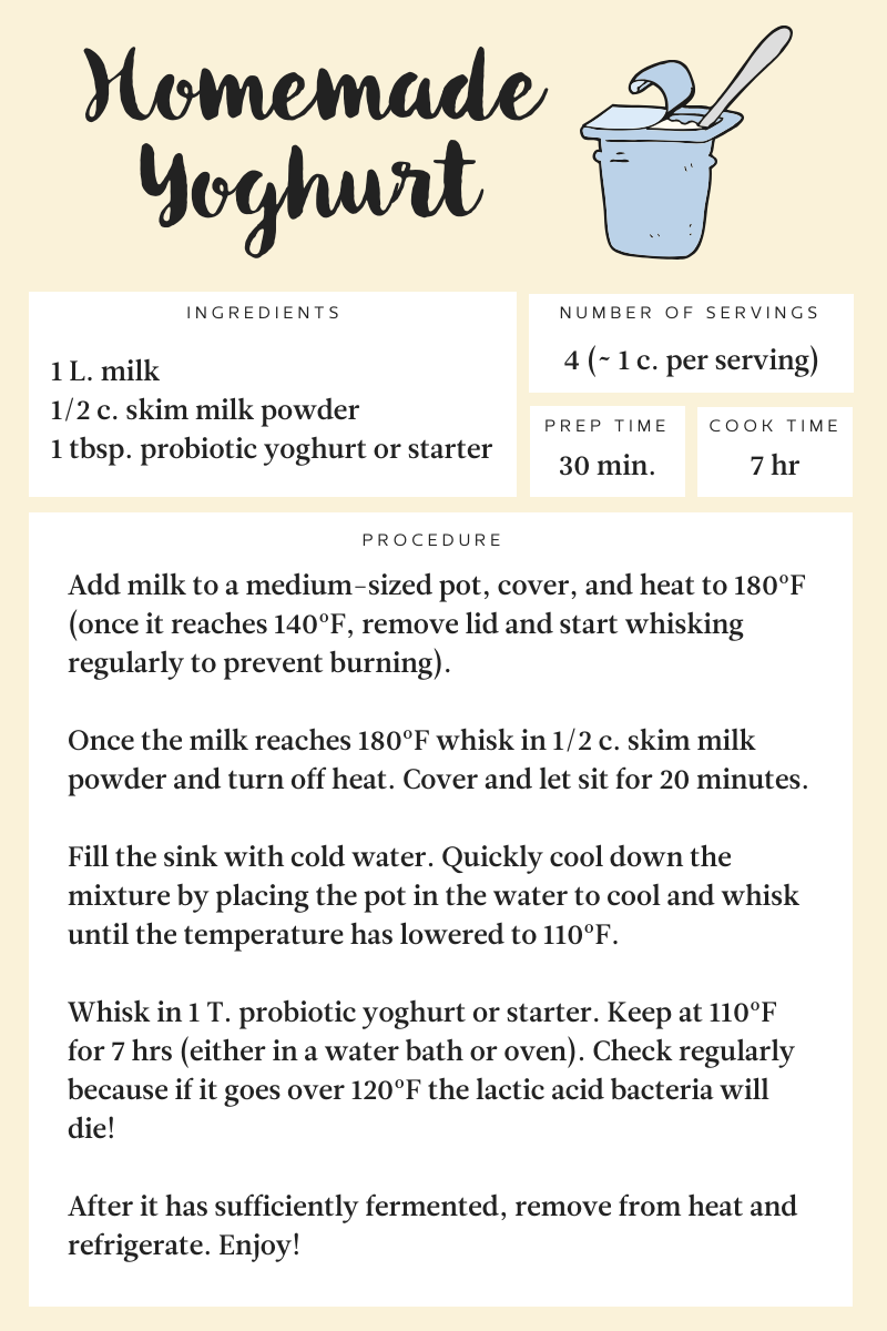 Homemade Yoghurt