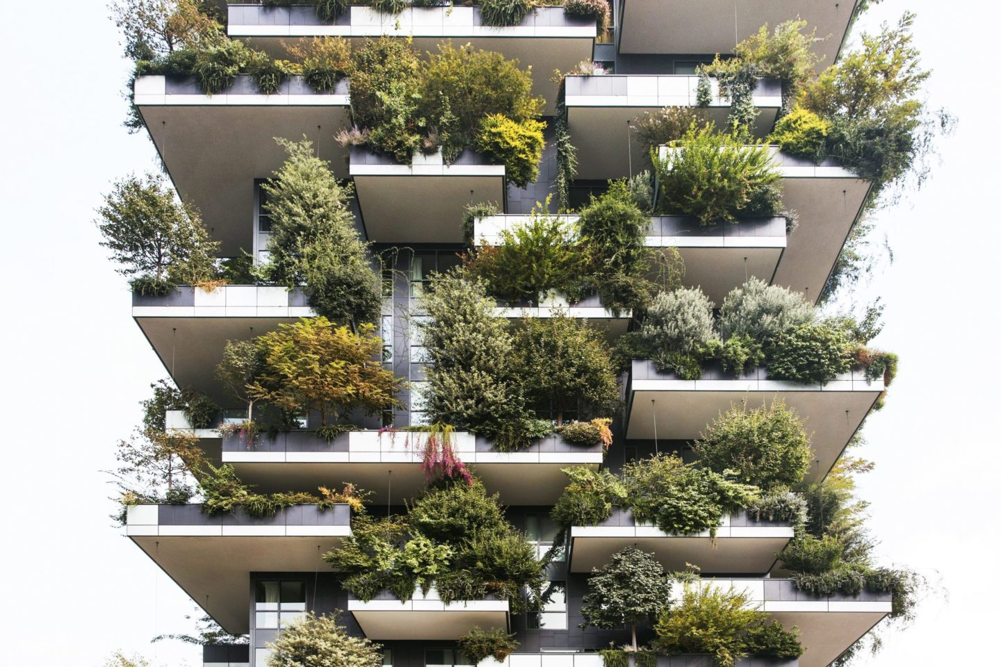 Vertical_Forest2-1440×960