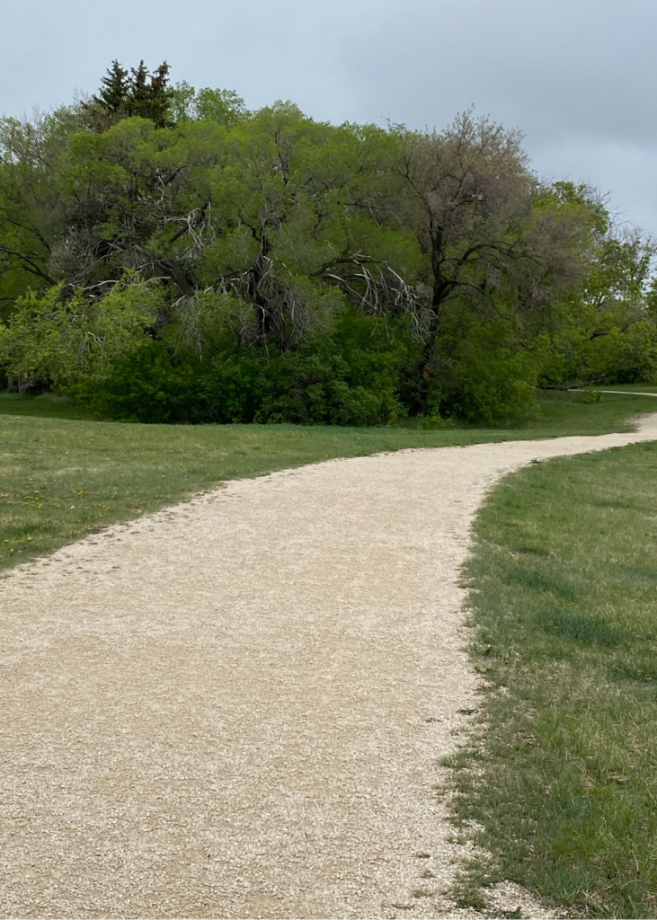 Gravel pathway with grass on either side and large trees in the distance. Rainclouds in the sky.