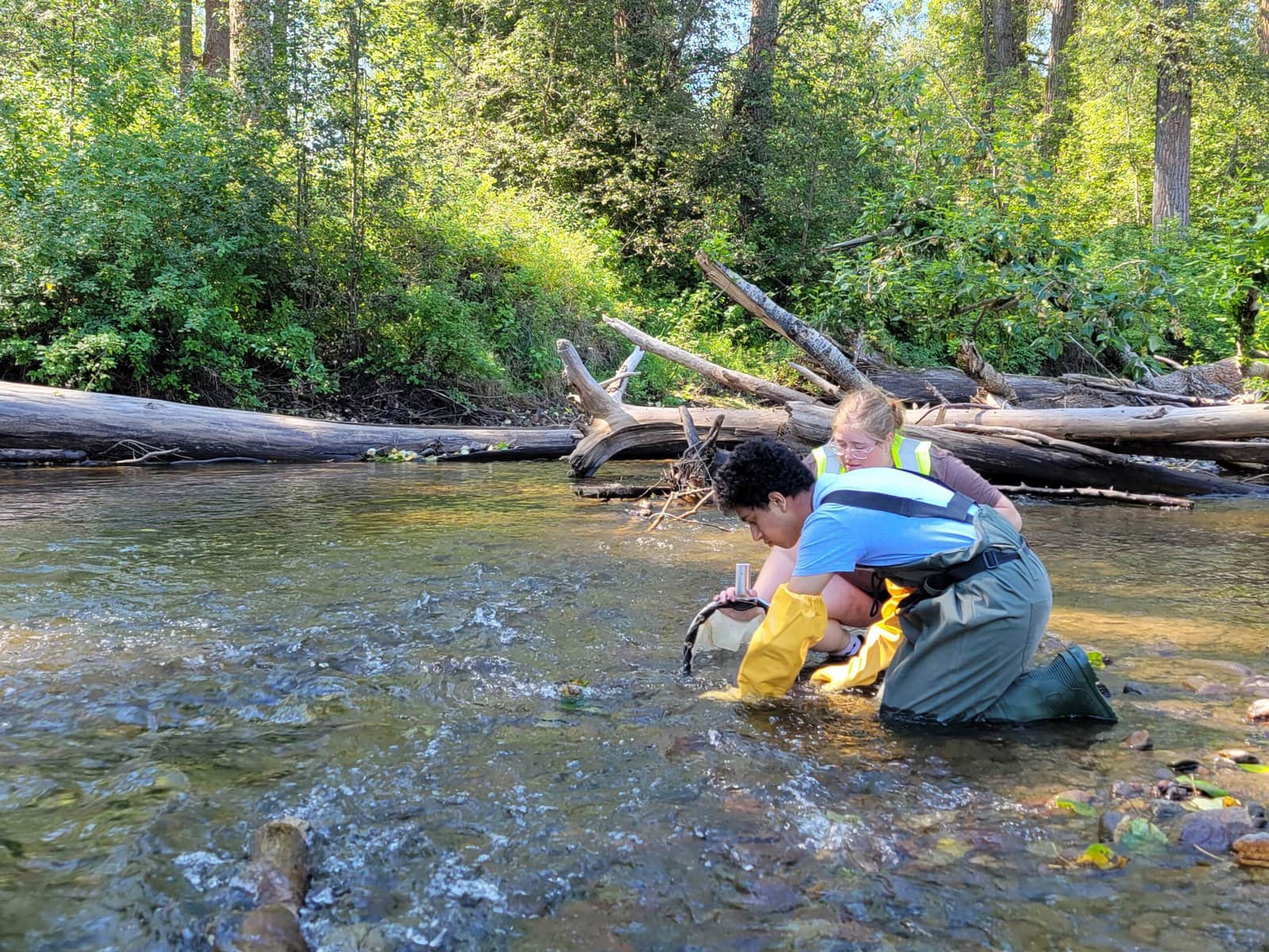 streamkeepers kneeling in buck creek with trap