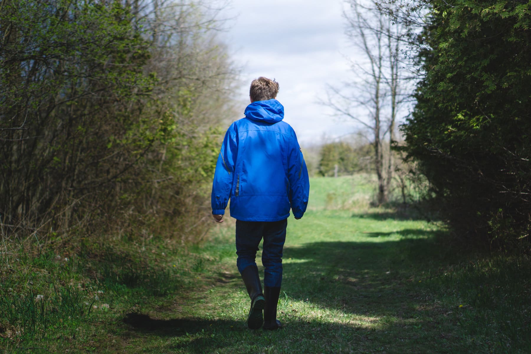 Person in a blue jacket, walking away from the camera through a field with trees on either side of them.