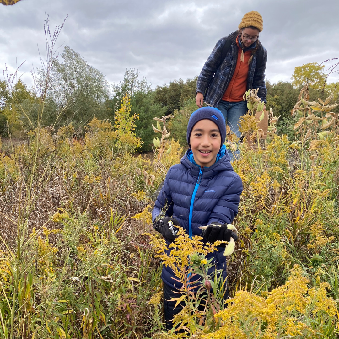 EarthKeepers Club collecting milkweed seeds.