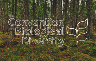 Convention on Biological Diversity