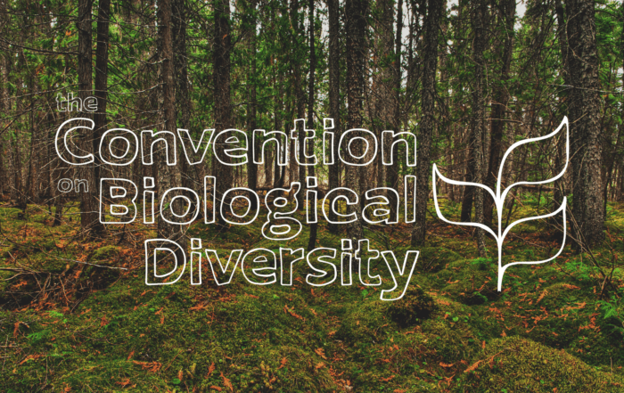 Convention on Biological Diversity