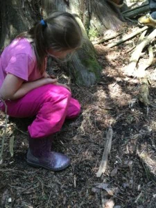 Young girl looking at moss on the forest floor.