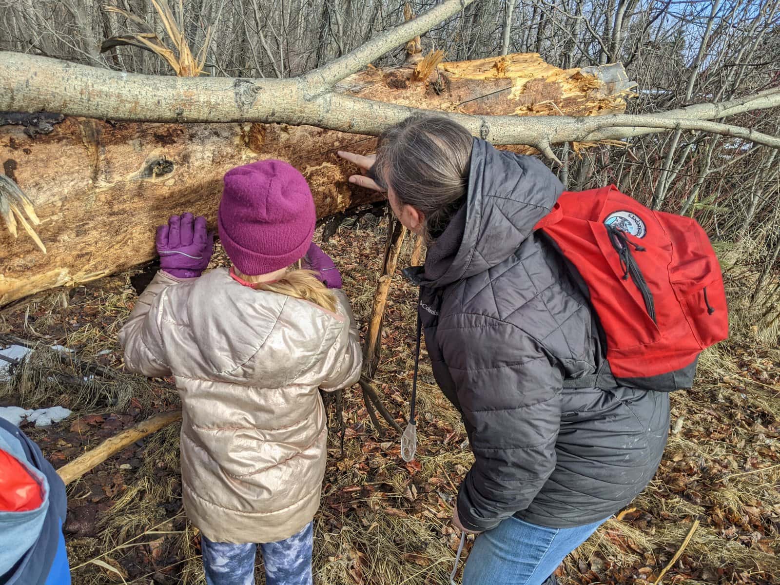 young girl and female leader looking for bugs in log
