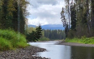 river and rocks and trees
