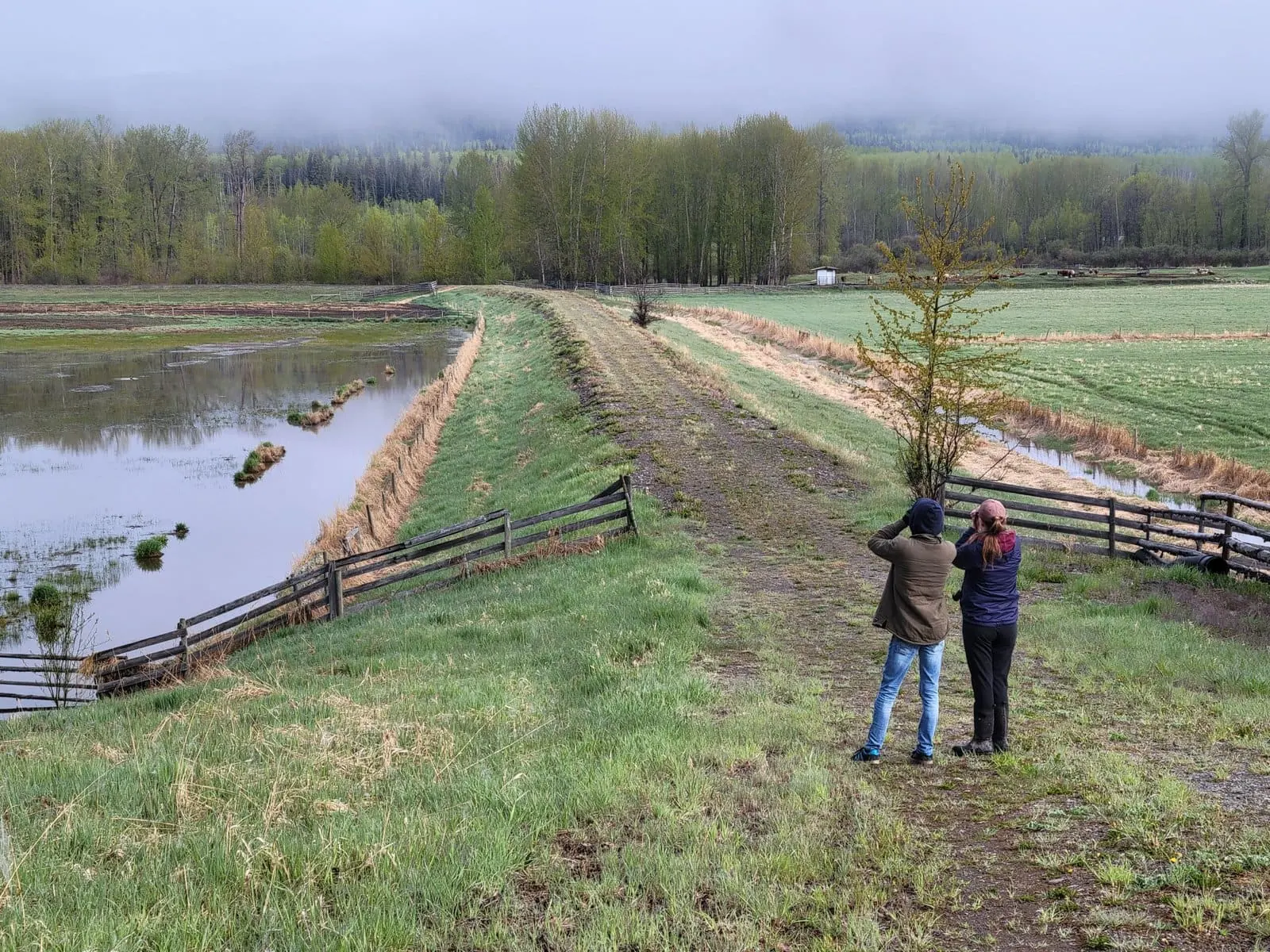 two birders, male and female, looking at wetland area