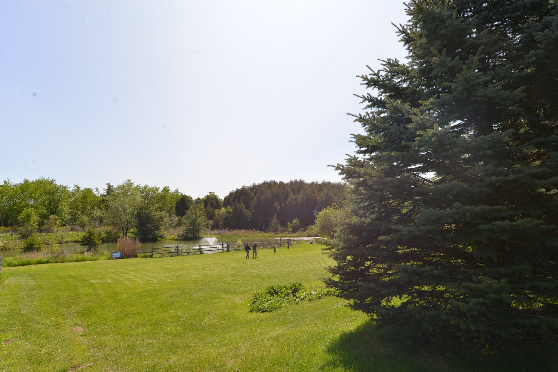 Landscape of the Cedar Haven Eco-Centre.