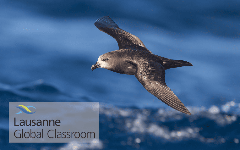 Lausanne Global Classroom