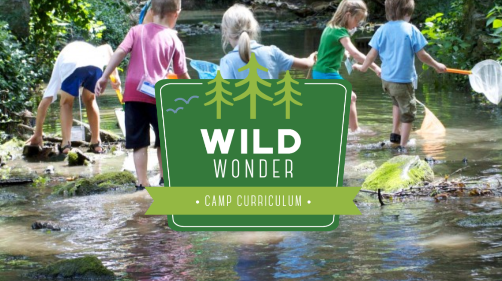 ARUSA Wild Wonder banner