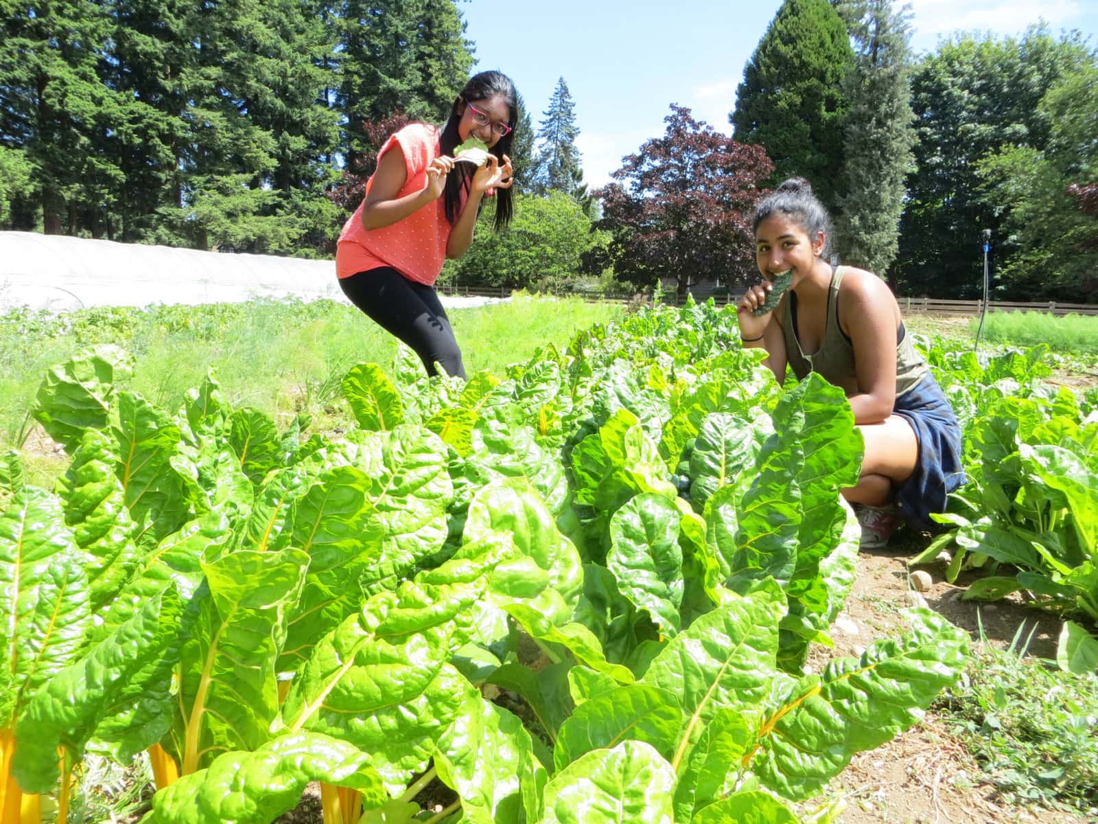 Farms to Families-by Leah Kostamo10