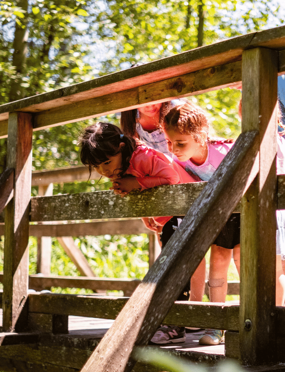 Kids looking at a creek at A Rocha