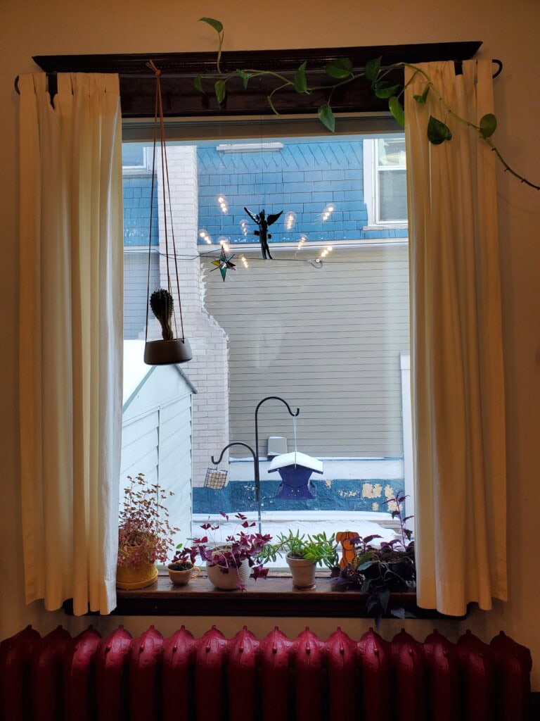 A window with plants on the sill and two bird feeders outside the window