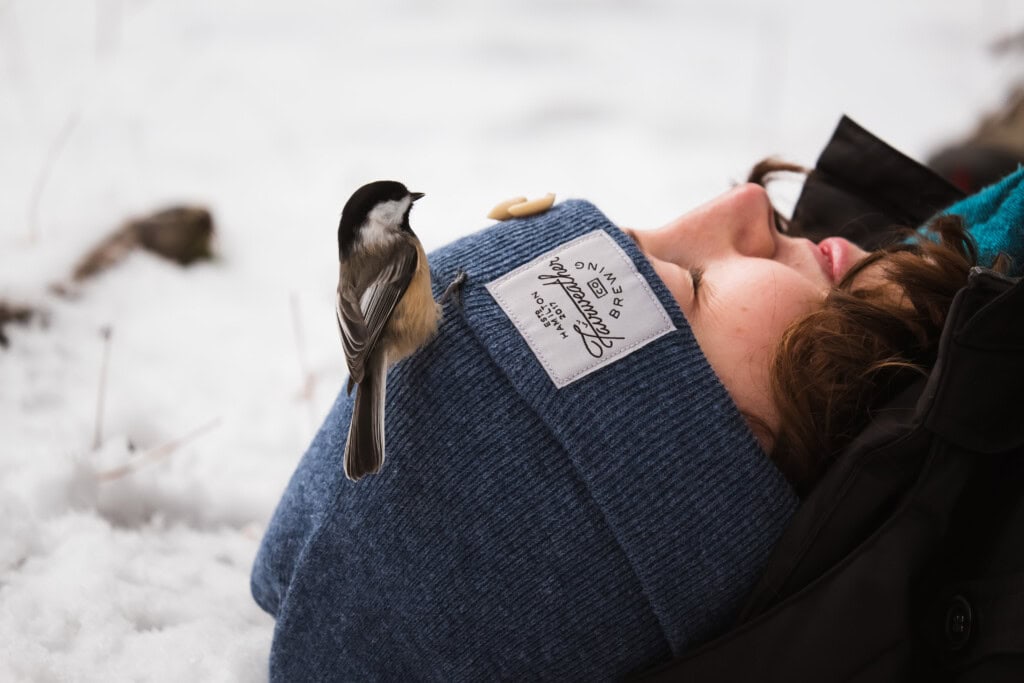 A chickadee sits on my head going for a peanut