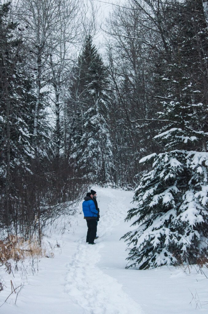two people looking into the snowy forest for birds. 
