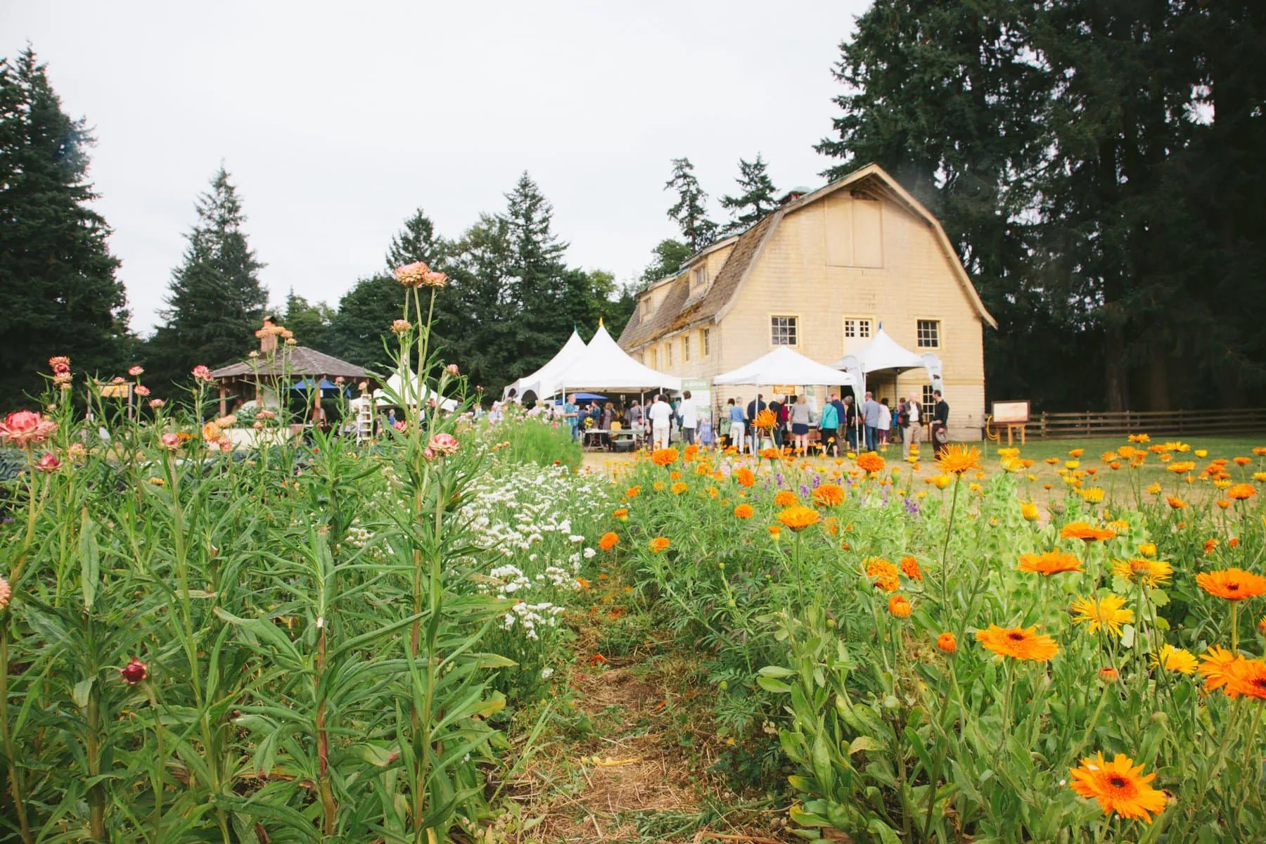 A Rocha Barn event with flowers
