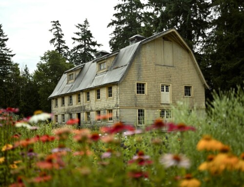Summer Shindig in the Barn: Fundraiser