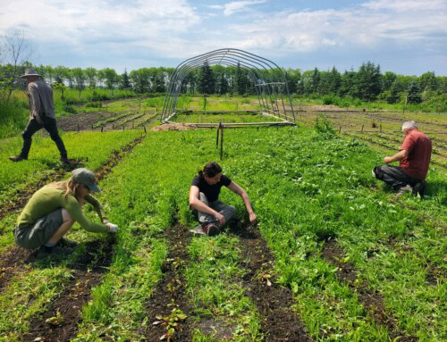 Blossoming New Interests: A WildRoots Summer Worker Story