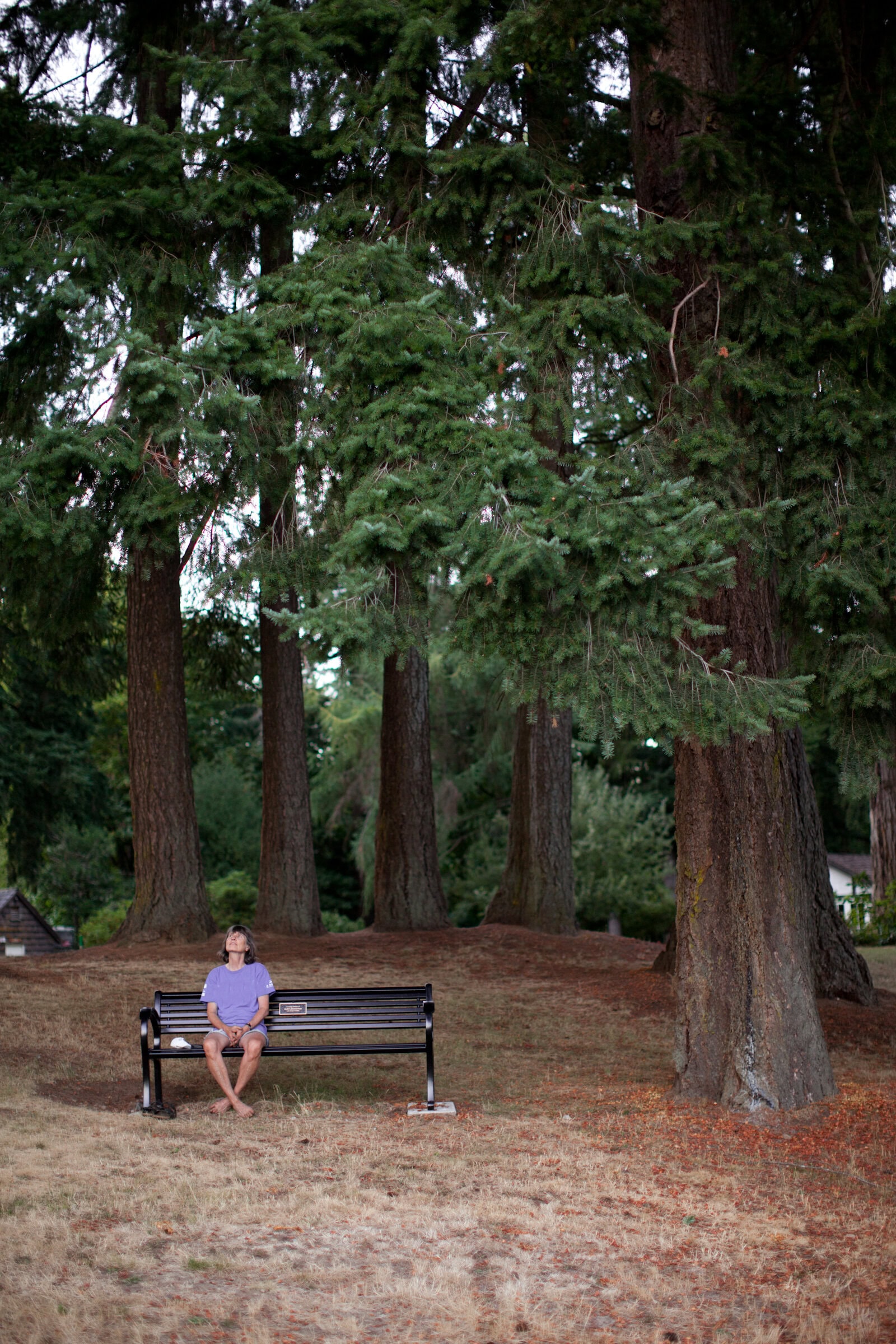 A person relaxes on a bench, surrounded by greenery and the tranquility of the outdoors.