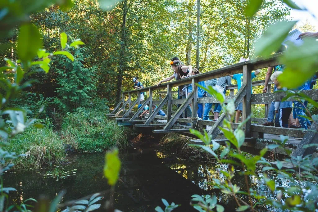 Harvest Celebration_WB_2023 (124 of 155)-XL