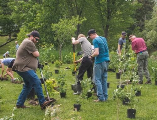 Here We Are: Responding to God’s Call in the Season of Creation
