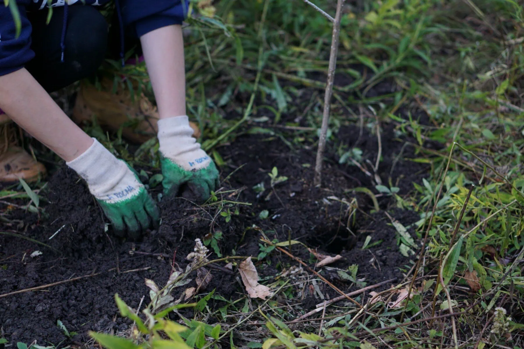 Nov 2025 – Volunteer Day