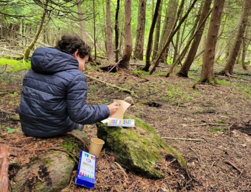 Joining God’s Ongoing Story through Creation Care