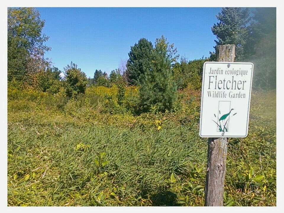 Fletcher Wildlife Garden