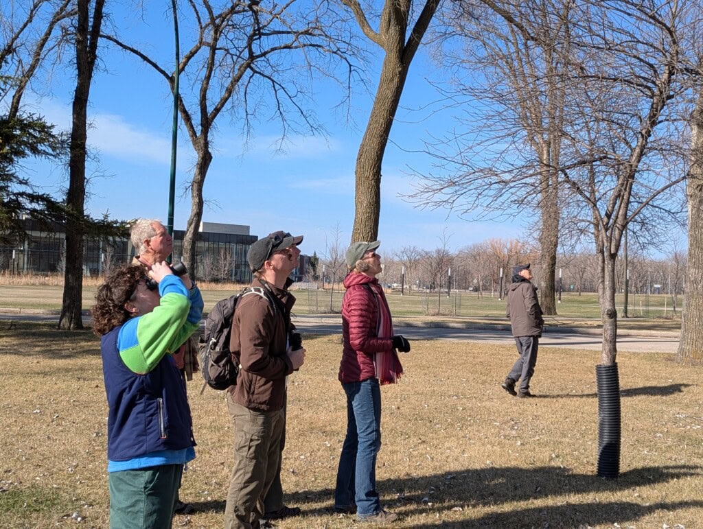 A group of people watching birds with binoculars