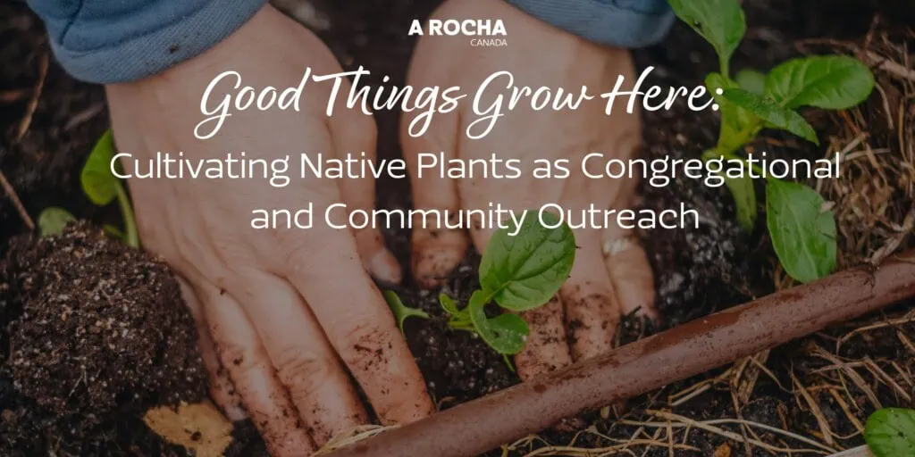 Hands planting a small green seedling, overlaid with webinar title